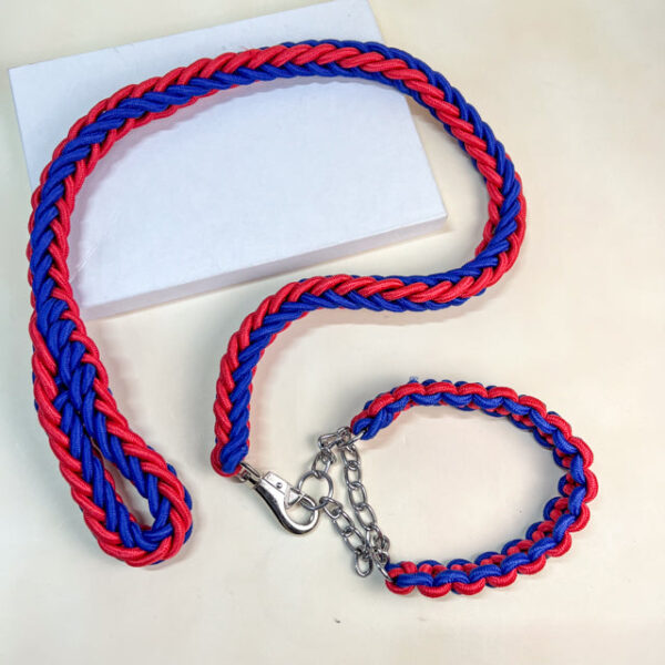 Mohutné vodítko s obojkem 1.2x140 cm - Obrázek 1