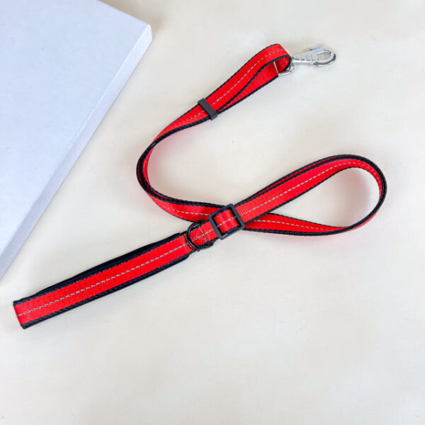 Polstrované reflexní vodítko pro psy 2cm (délka 100-170cm) - Obrázek 2