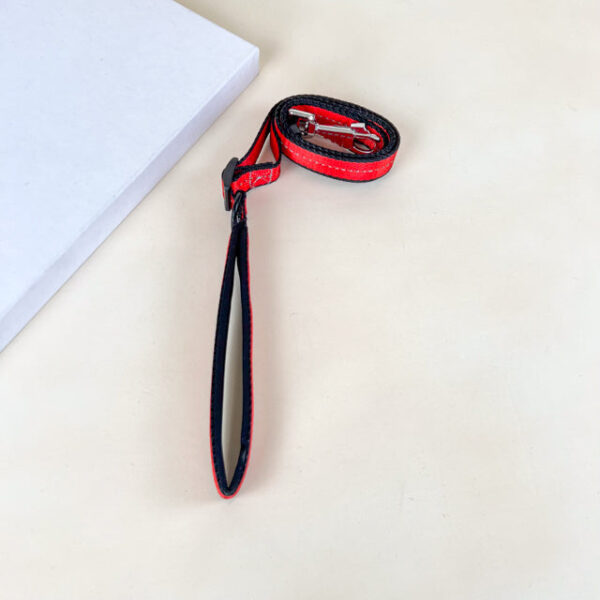 Polstrované reflexní vodítko pro psy 2cm (délka 100-170cm) - Obrázek 3