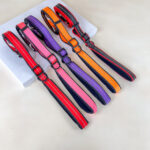 Polstrované reflexní vodítko pro psy 2cm (délka 100-170cm) - Obrázek 4