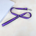 Polstrované reflexní vodítko pro psy 2cm (délka 100-170cm) - Obrázek 7