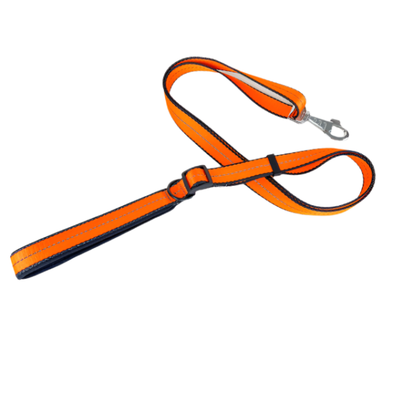 Polstrované reflexní vodítko pro psy 2cm (délka 100-170cm) - Obrázek 13