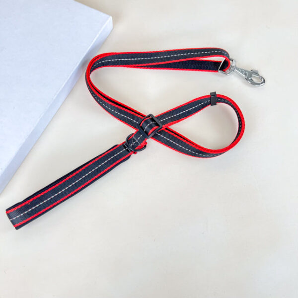 Polstrované reflexní vodítko pro psy 2cm (délka 100-170cm) - Obrázek 1