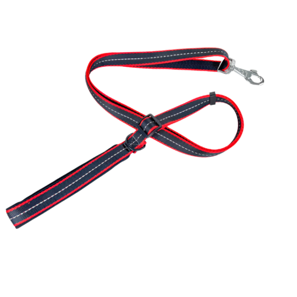 Polstrované reflexní vodítko pro psy 2cm (délka 100-170cm) - Obrázek 14