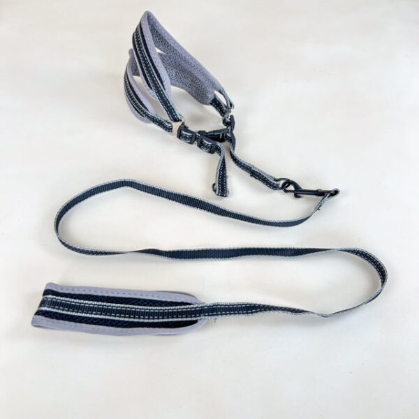 Polstrované vodítko s postrojem (vodítko 120cm x 1.5cm, obvod postroje 40-50cm) - Obrázek 12