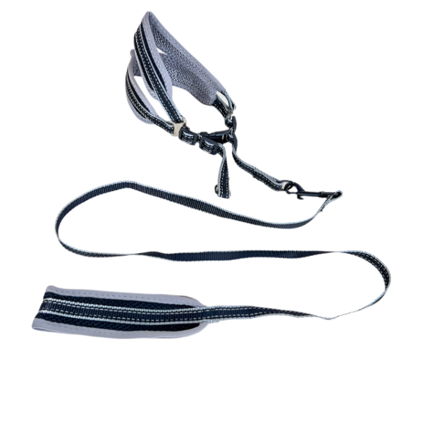 Polstrované vodítko s postrojem (vodítko 120cm x 1.5cm, obvod postroje 40-50cm) - Obrázek 19