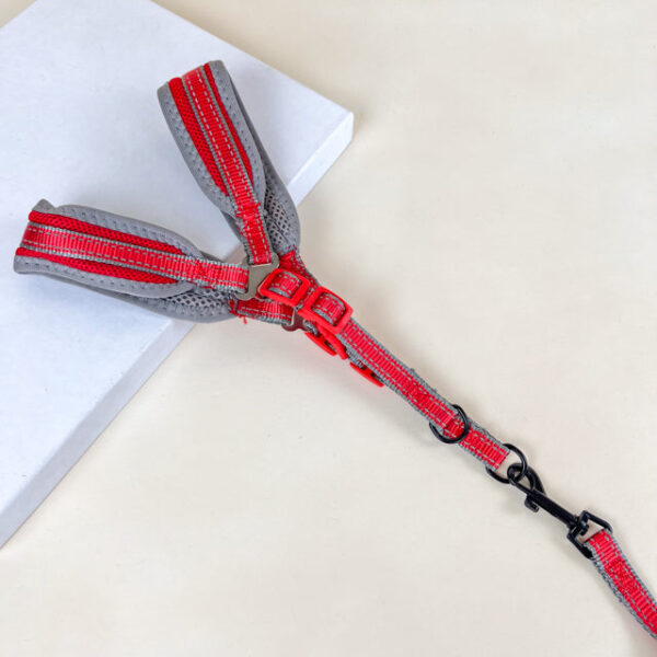 Polstrované vodítko s postrojem (vodítko 120cm x 1.5cm, obvod postroje 40-50cm) - Obrázek 7