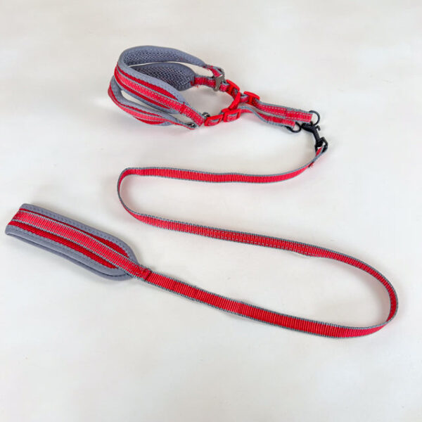 Polstrované vodítko s postrojem (vodítko 120cm x 1.5cm, obvod postroje 40-50cm) - Obrázek 2