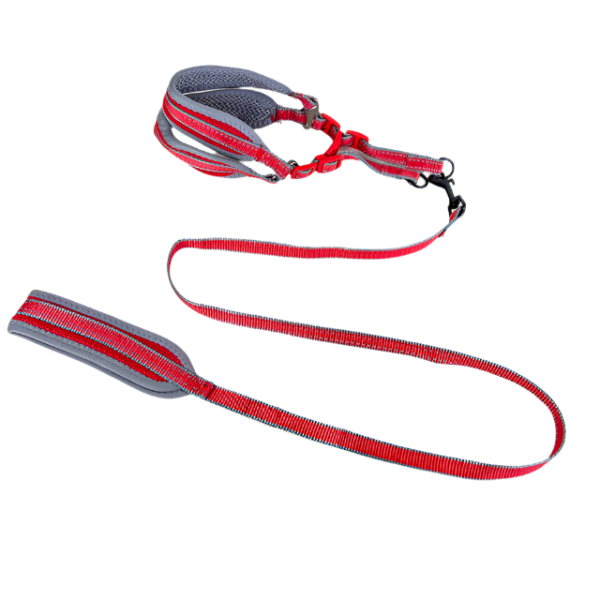 Polstrované vodítko s postrojem (vodítko 120cm x 1.5cm, obvod postroje 40-50cm) - Obrázek 17