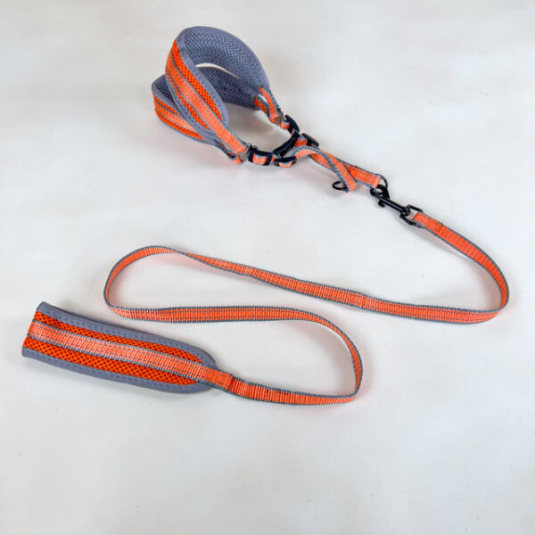 Polstrované vodítko s postrojem (vodítko 120cm x 1.5cm, obvod postroje 40-50cm) - Obrázek 1