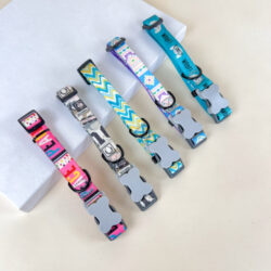 Nylonový obojek pro psy 2cm (obvod 30-45cm)