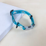 Nylonový obojek pro psy 2cm (obvod 30-45cm) - Obrázek 2