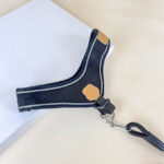Sada vodítka s postrojem pro psy (vodítko 115cm + postroj obvod 30cm) - Obrázek 3