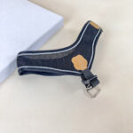 Sada vodítka s postrojem pro psy (vodítko 115cm + postroj obvod 30cm) - Obrázek 6