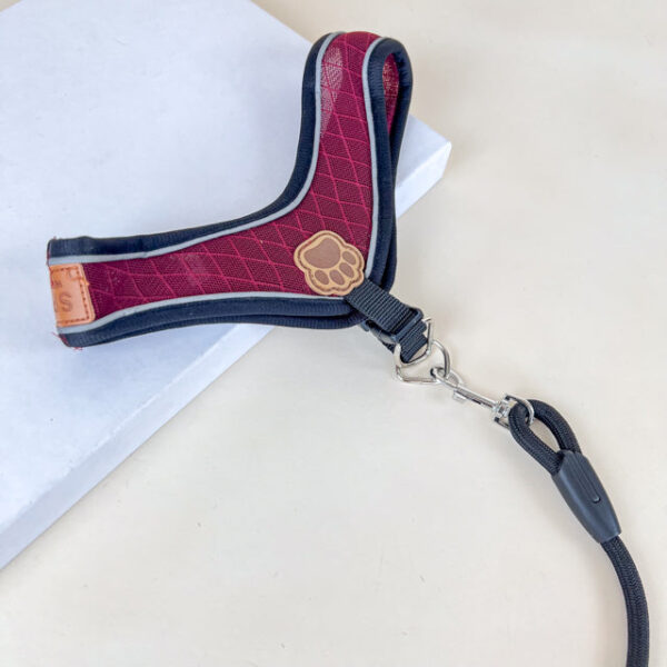Sada vodítka s postrojem pro psy (vodítko 115cm + postroj obvod 30cm) - Obrázek 8