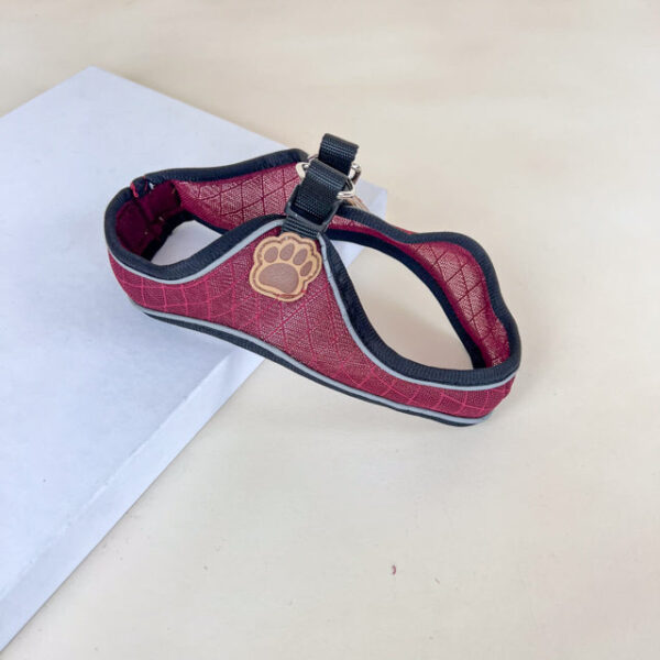 Sada vodítka s postrojem pro psy (vodítko 115cm + postroj obvod 30cm) - Obrázek 10