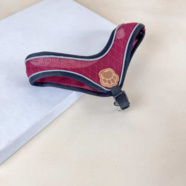 Sada vodítka s postrojem pro psy (vodítko 115cm + postroj obvod 30cm) - Obrázek 11