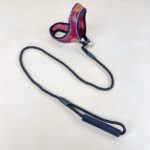 Sada vodítka s postrojem pro psy (vodítko 115cm + postroj obvod 30cm) - Obrázek 2