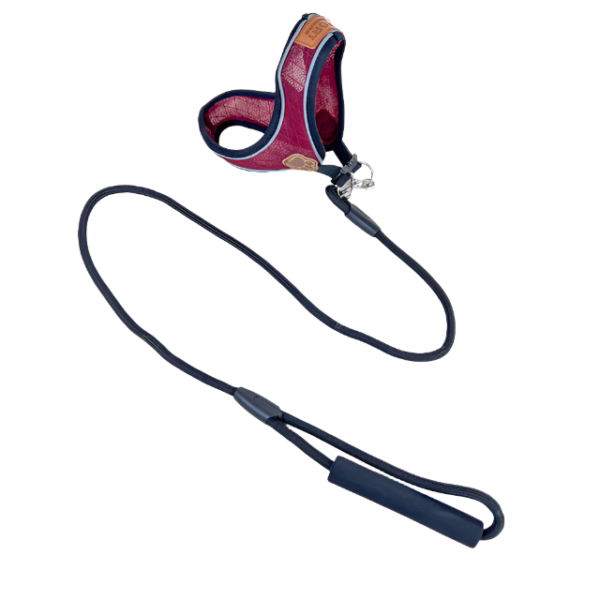 Sada vodítka s postrojem pro psy (vodítko 115cm + postroj obvod 30cm) - Obrázek 12