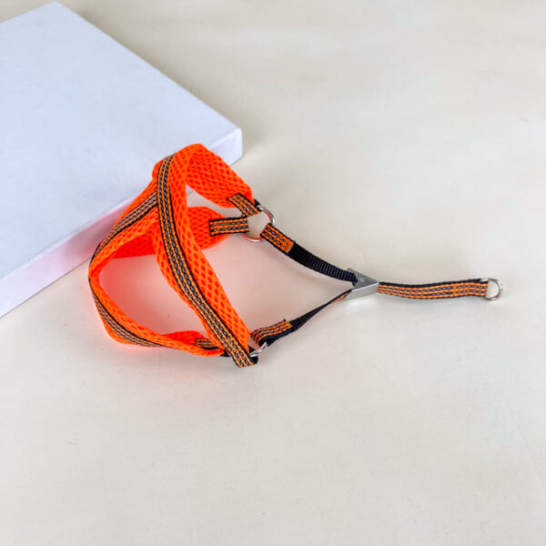Sada reflexního vodítka s postrojem pro psy 1 cm (postroj 30-50cm, vodítko 110cm) - Obrázek 8