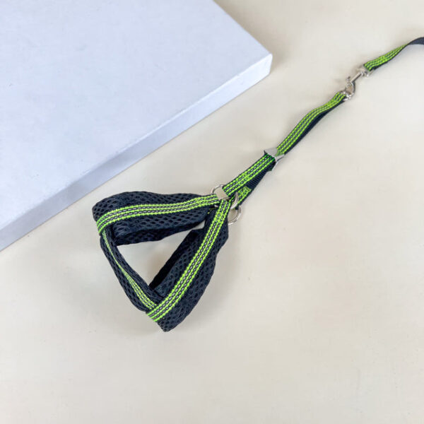 Sada reflexního vodítka s postrojem pro psy 1 cm (postroj 30-50cm, vodítko 110cm) - Obrázek 10