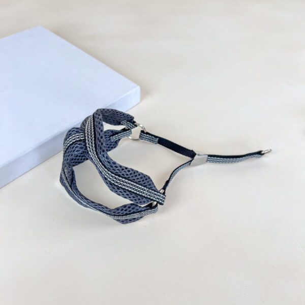 Sada reflexního vodítka s postrojem pro psy 1 cm (postroj 30-50cm, vodítko 110cm) - Obrázek 17