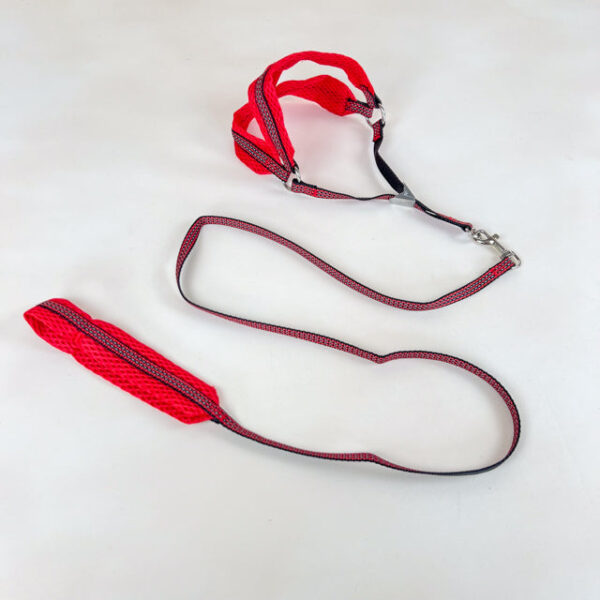 Sada reflexního vodítka s postrojem pro psy 1 cm (postroj 30-50cm, vodítko 110cm) - Obrázek 19