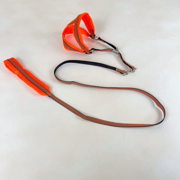 Sada reflexního vodítka s postrojem pro psy 1 cm (postroj 30-50cm, vodítko 110cm) - Obrázek 20