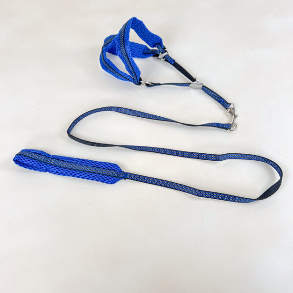 Sada reflexního vodítka s postrojem pro psy 1 cm (postroj 30-50cm, vodítko 110cm) - Obrázek 2