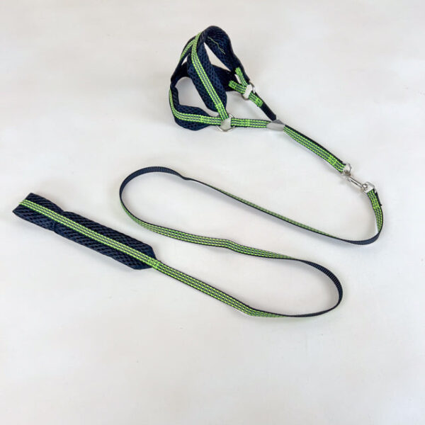 Sada reflexního vodítka s postrojem pro psy 1 cm (postroj 30-50cm, vodítko 110cm) - Obrázek 21