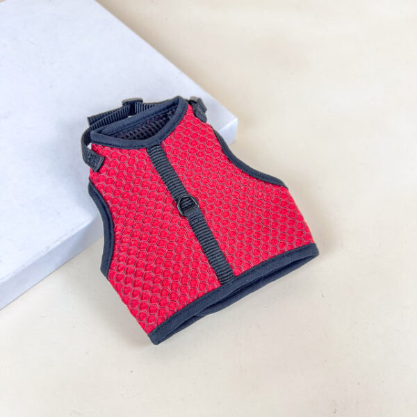 Postroj pro malé mazlíčky - Obrázek 4