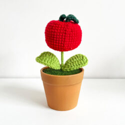 Květina v květináči Malé jablko