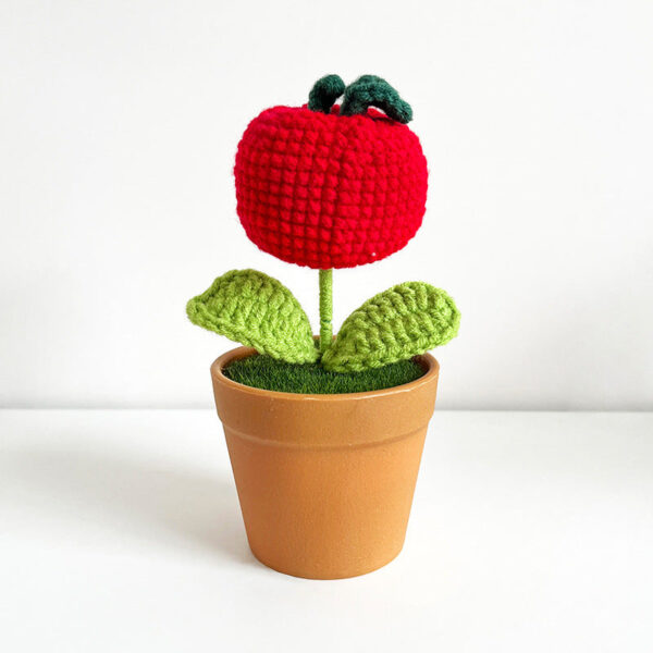 Květina v květináči Malé jablko - Obrázek 1