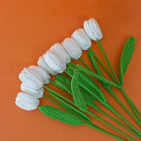 Tulipán Jeden hotový bílý tulipán - Obrázek 1