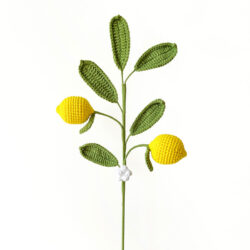 Ovocné Vícehlavý citron (hotový)