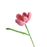 Kvetina kvetoucí tulipány Jeden hotový růžový kvetoucí tulipán - Obrázek 2