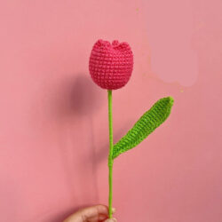 Květiny Buclaté tulipány v karmínové barvě