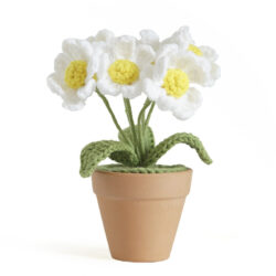 Vícehlavá květina Bílá kopretina hrnková rostlina [hotová]