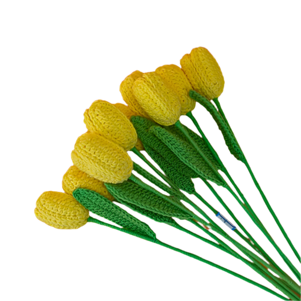 Tulipán Jeden hotový tmavě žlutý tulipán - Obrázek 5