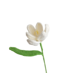 Kvetina kvetoucí tulipány Jeden hotový krémový kvetoucí tulipán - Obrázek 5