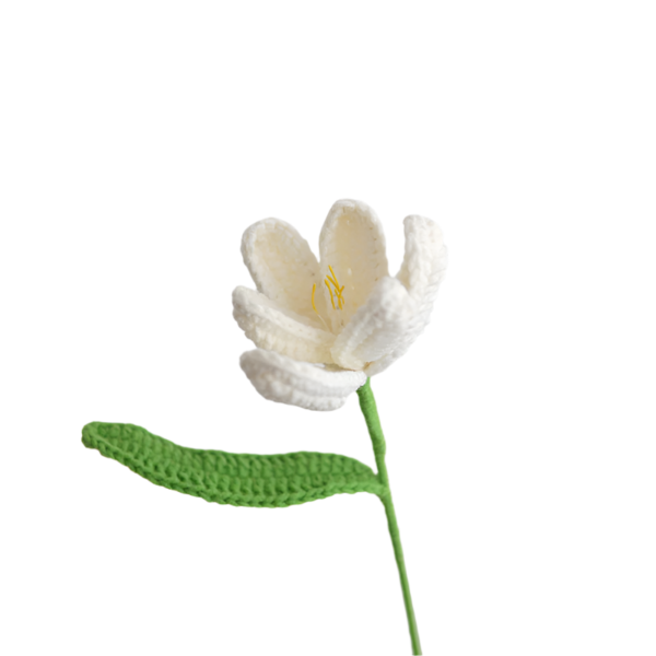 Kvetina kvetoucí tulipány Jeden hotový krémový kvetoucí tulipán - Obrázek 5