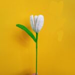 Květiny Bílé kvetoucí tulipány