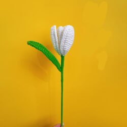 Květiny Bílé kvetoucí tulipány