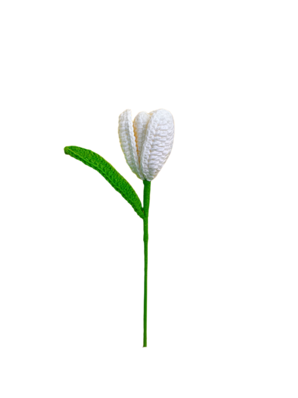 Květiny Bílé kvetoucí tulipány - Obrázek 2