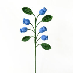 Ovocné Vícehlavá borůvka (hotová)