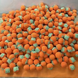 Hačkované plody Persimmon (1 kus hotový)