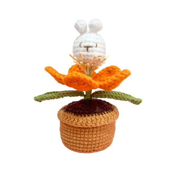 Květina v Květináči Králičí hlava rostlina v květináči (hotová) - Obrázek 2