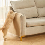 Škrabadlo na pohovky M 40x60 cm - Obrázek 4