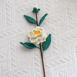 Kamélie Jedna bílá kamélie (hotová)