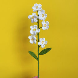 Květiny Bílá pomněnka